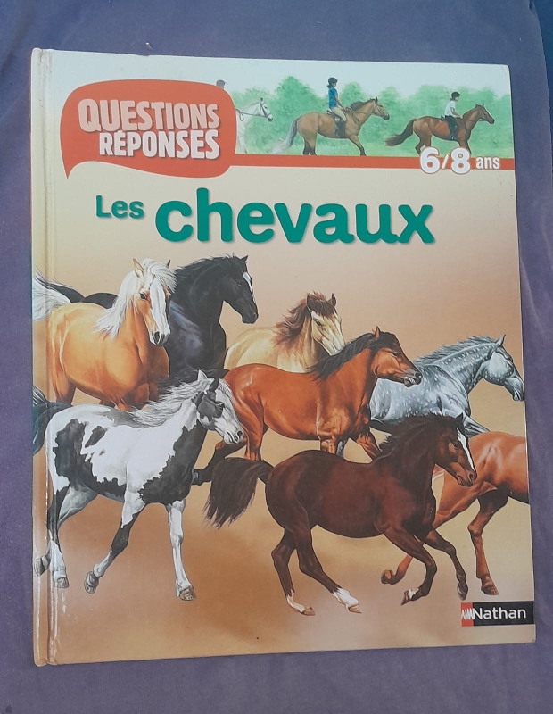LES CHEVAUX