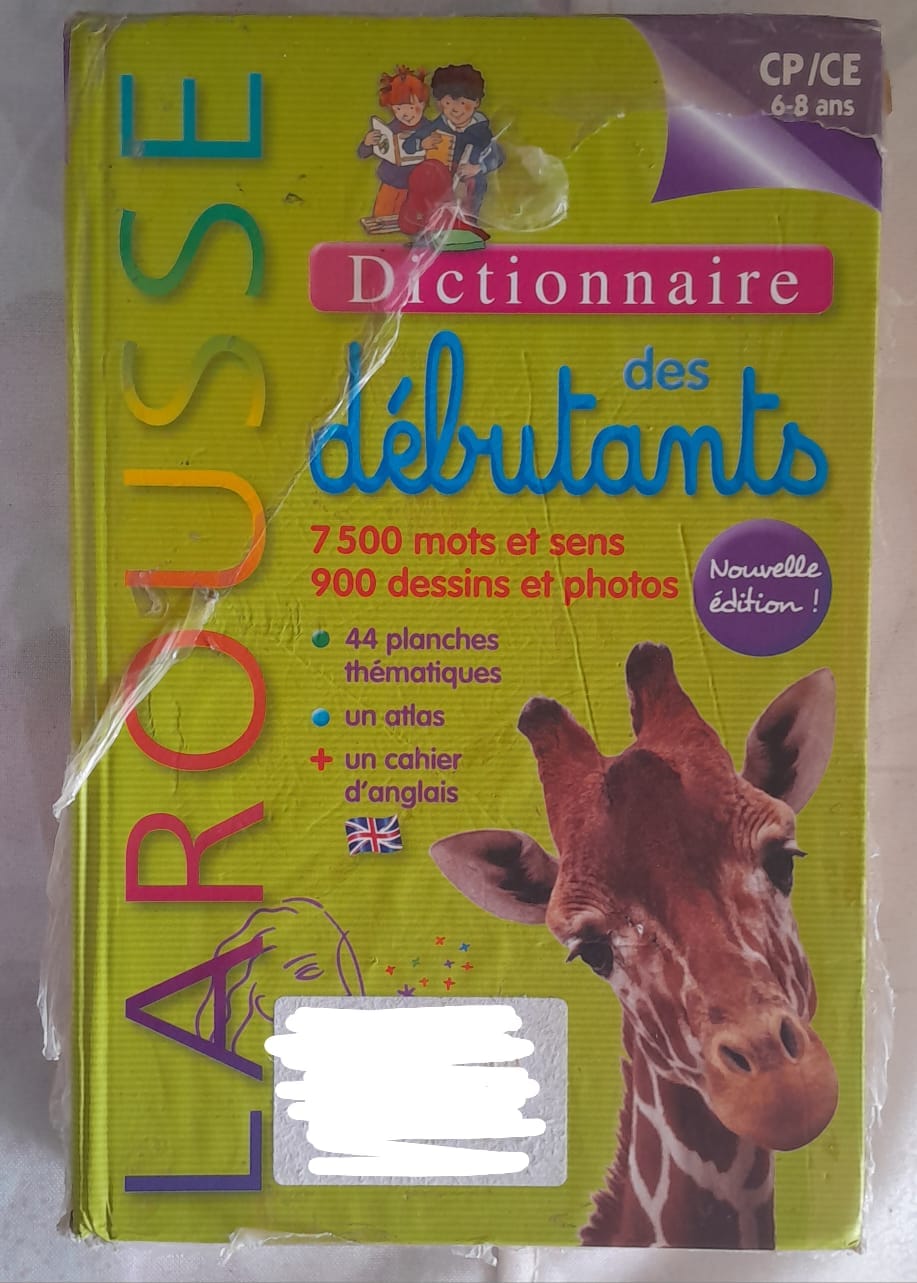 DICTIONNAIRE DEBUTANT